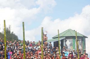 Participant compete in Greased Bamboo climbing completion on the third day of the state annual Hornbill Festival at the Naga Heritage village Kisama, some 15 kms away from Kohima, Nagaland on Saturday, 03 December 2016. Photo by Caisii Mao