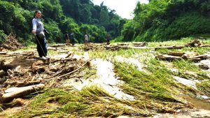 The flood and mudslide hit paddy fields of Sorbung village in Manipurs Senapati district which had witnessed the worst floodlandslide in the last 3 decades durign August end this year 5