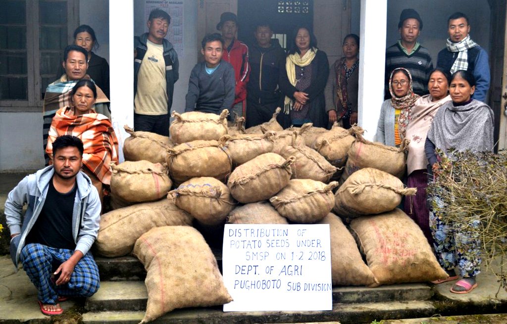 Potatoes seeds distributed to the farmers on 2 February 2018