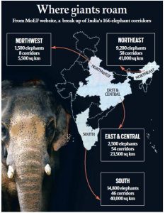 india elephant corridor