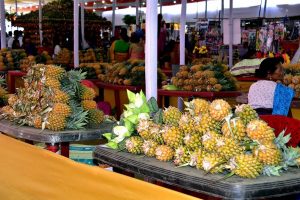 The 12th State Level Pineapple Festival at Thambalnu Market