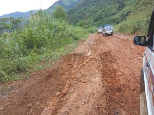 Tokheho Yepthomi pitches road development in LS