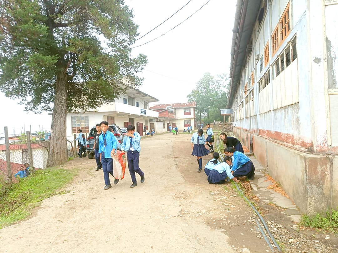 Nagaland marks World Environment Day with conservation drive