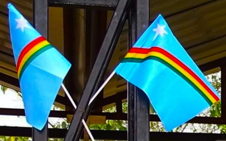 NNC/FGN joins opposition to proposed IAF radar project in Pfutsero