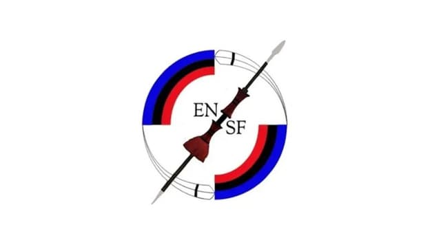 Eastern Naga Students' Federation condemns assault on Rengma youths