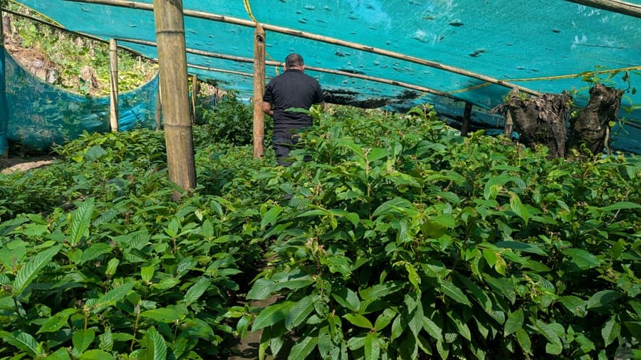 Mountains to Mangroves: Three Nagaland villages, one green vision