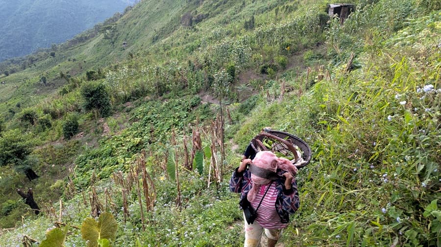 Mountains to Mangroves: Three Nagaland villages, one green vision