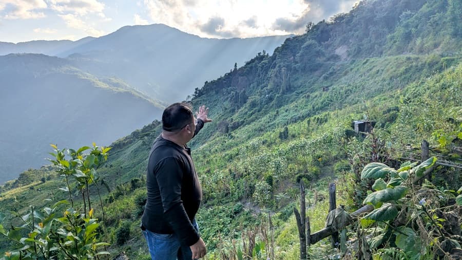 Mountains to Mangroves: Nagaland’s REDD+ pilot takes root