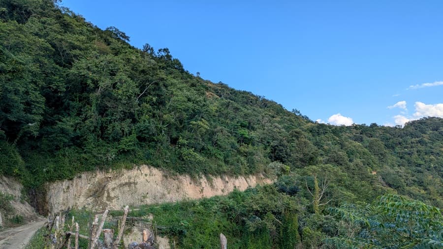 Mountains to Mangroves: Nagaland’s REDD+ pilot takes root