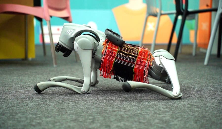 Back-to-back AI launches: Sitharaman unveils Dimapur Future Skills Centre