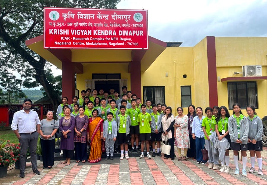 Students of Beanstalk School visit KVK Dimapur