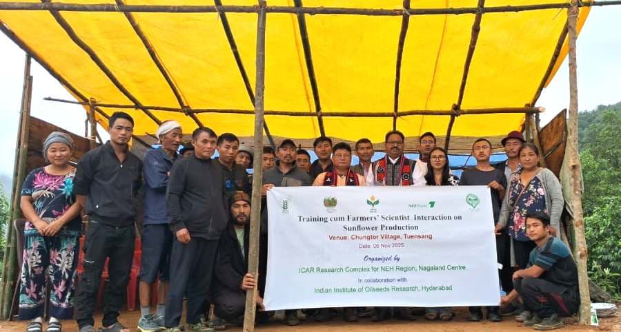 Sunflower oilseed cultivation training held at Chungtor village in Tuensang