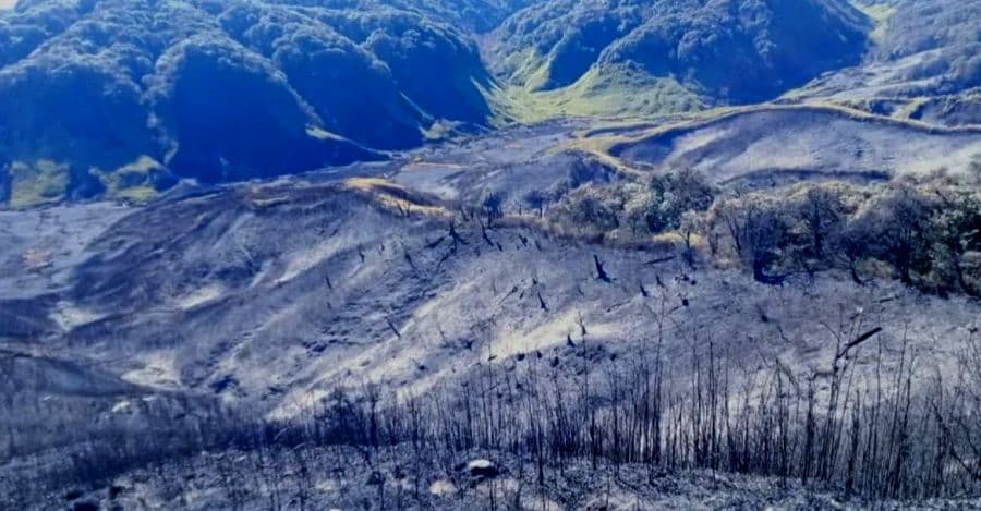 Western Dzükou fire completely extinguished; all operations called off