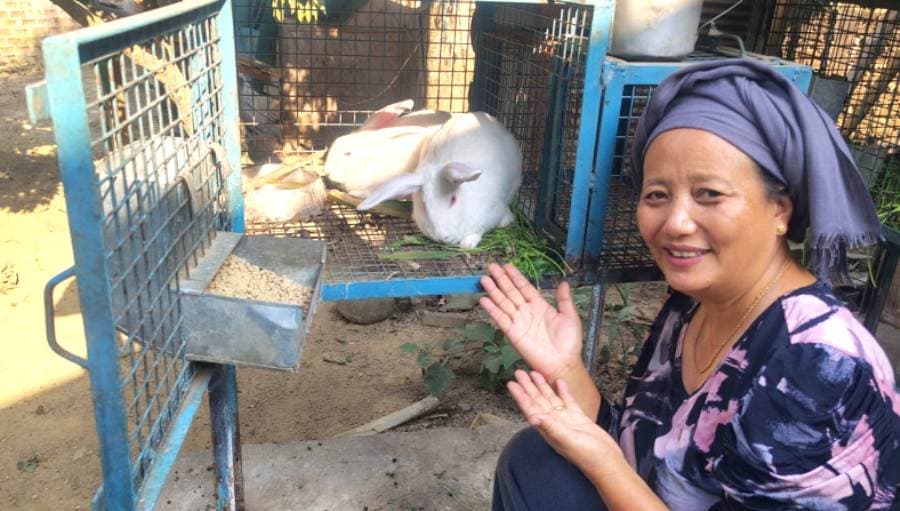 Alemla Samuel succeeds in rabbit farming in Dimapur