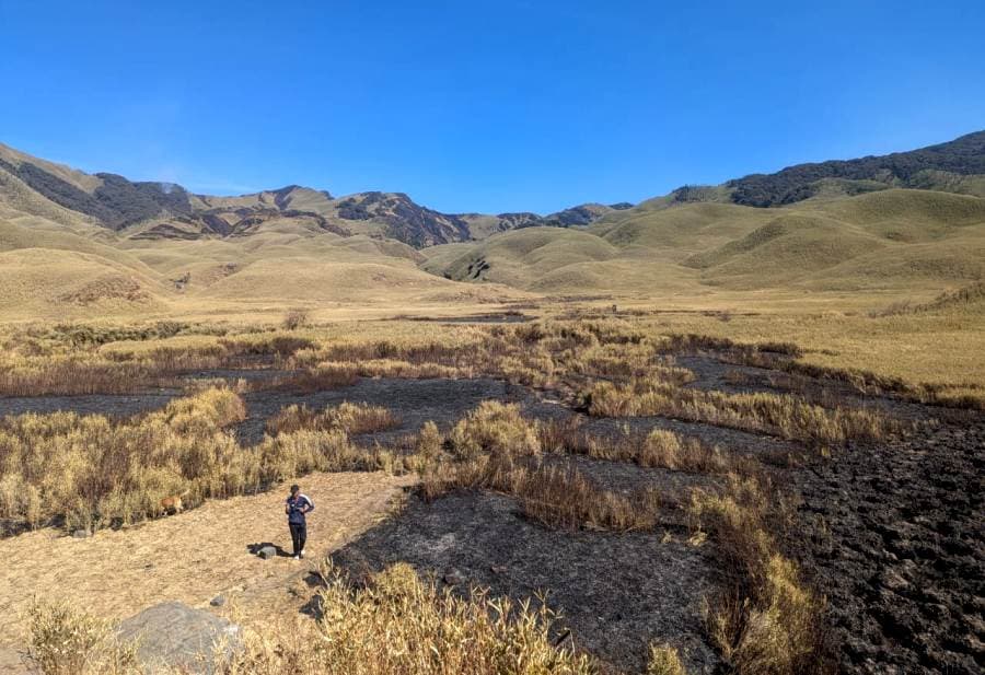 Dzükou fire largely contained as operations enter sixth day