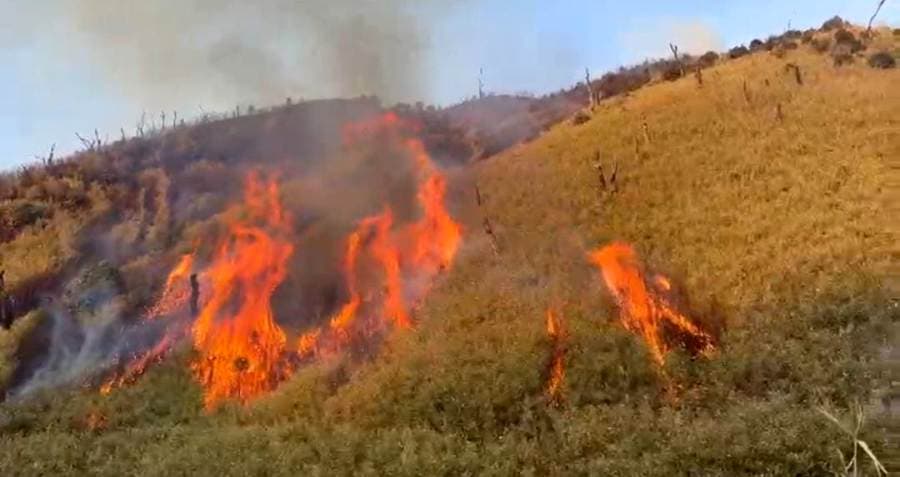 Dzükou Valley fire spreads uncontrollably, trekking suspended