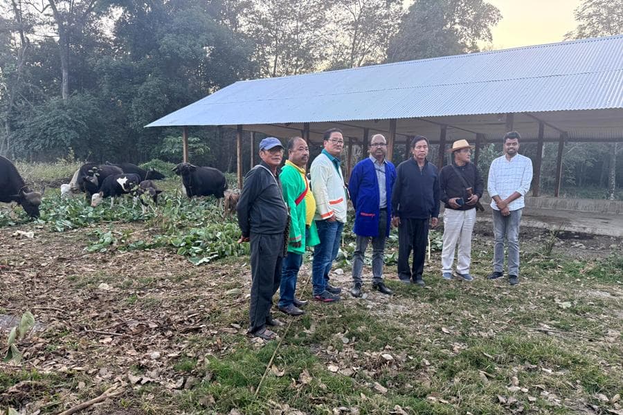 NRC on Mithun Medziphema collaborates with farmers in Arunachal