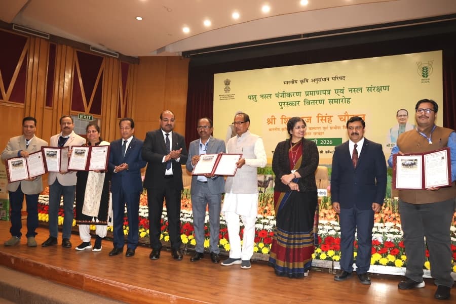 Nagami Mithun breed of Nagaland gets Indian Council of Agricultural Research registration