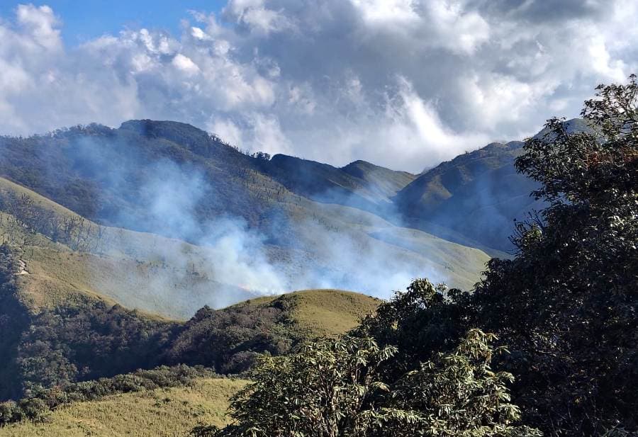 Fire breaks out in Southern Dzükou Valley; Kohima DC orders containment operation