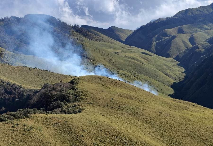 Fire breaks out in Southern Dzükou Valley; Kohima DC orders containment operation
