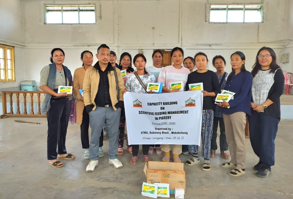 Nagaland: ATMA Kobulong conducts piggery training for women
