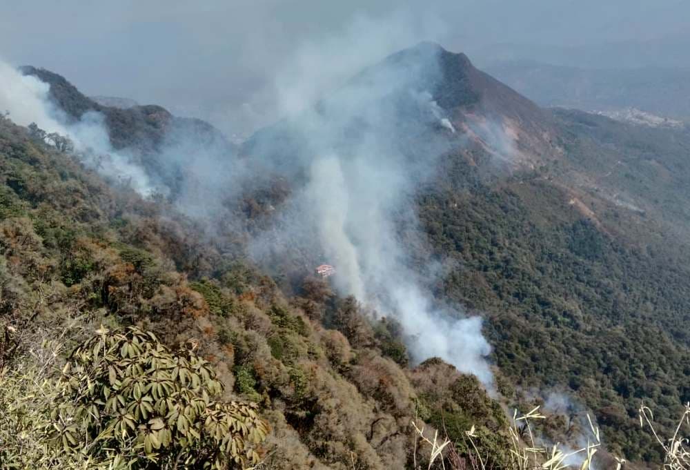 Wildfire in Dzükou Valley spreads further; major flare-up reported near Viswema