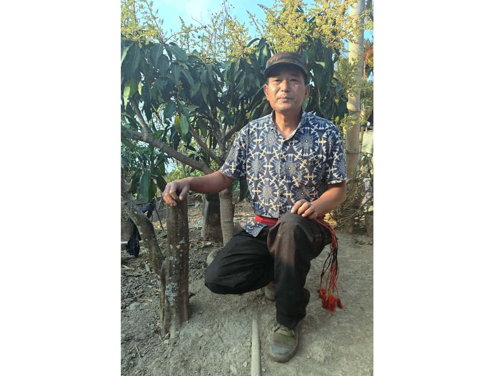 Mangmetong farmer Imnatoshi thrives on organic farming