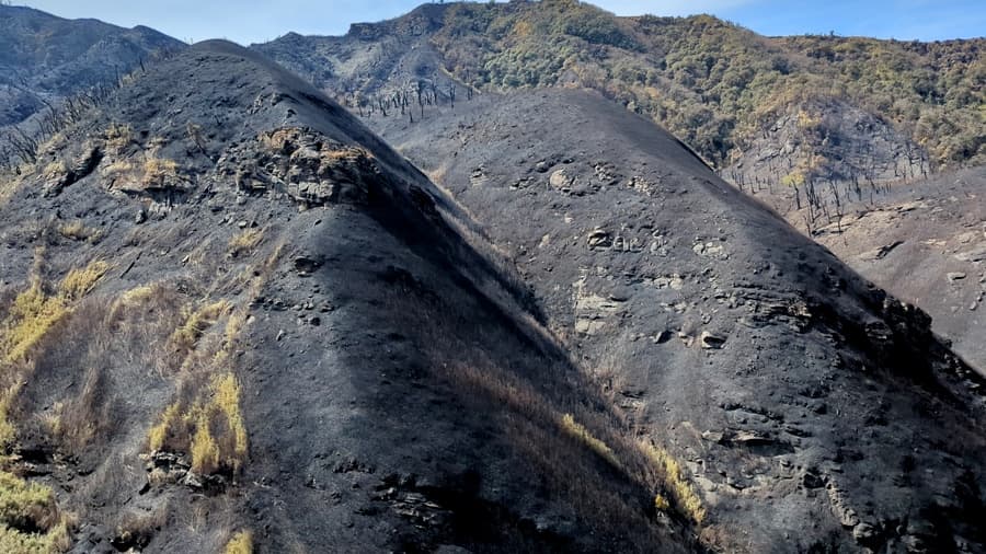 Southern Dzükou fire under control, fresh flare-ups reported