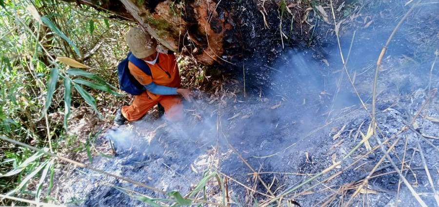 Southern Dzükou fire enters eighth day, IAF ops continue