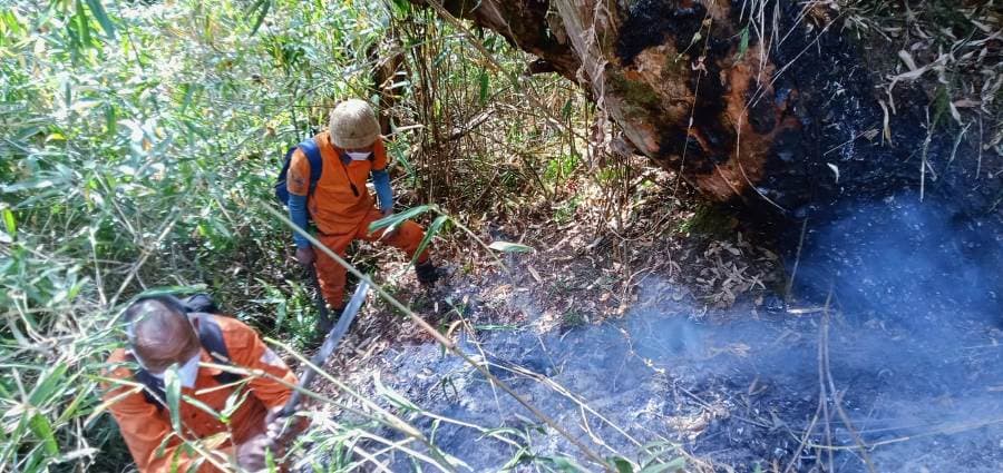 Southern Dzükou fire enters eighth day, IAF ops continue