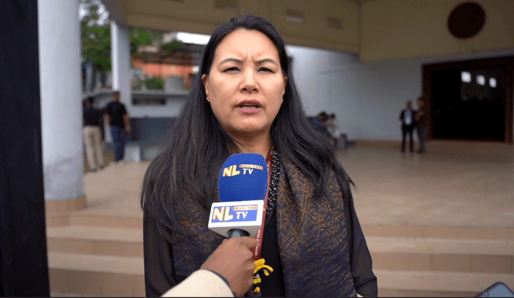 Low-hanging fruit’ industries can boost Nagaland economy, says MSME official