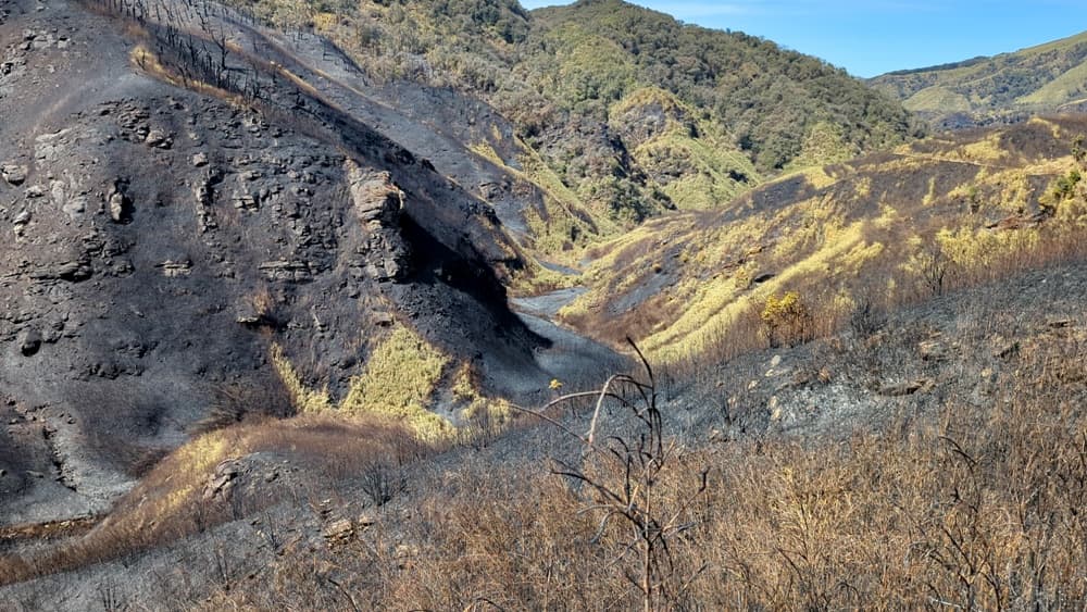 No suspects identified in Dzükou valley fire, says CM Rio