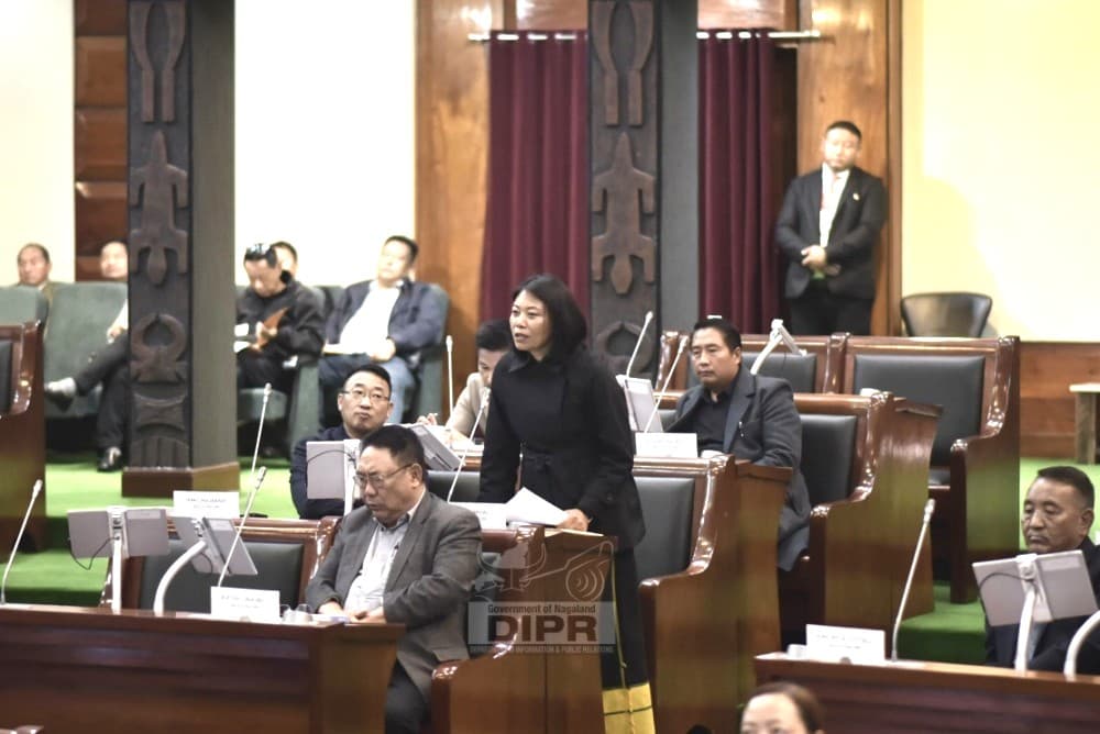 Nagaland Assembly moots LADP boost for nano enterprises, grassroots skilling