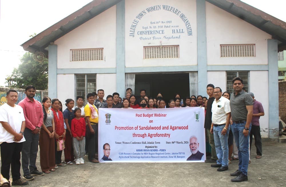 KVK Peren hosts webinar on sandalwood, agarwood