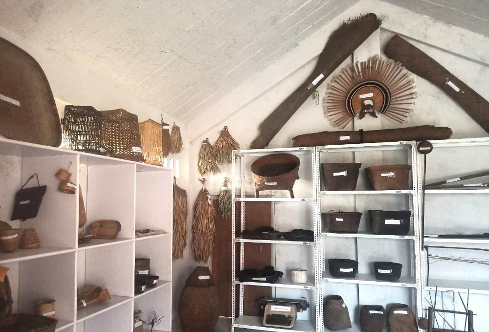 Pfutsero Government College holds cultural-cum-literary day