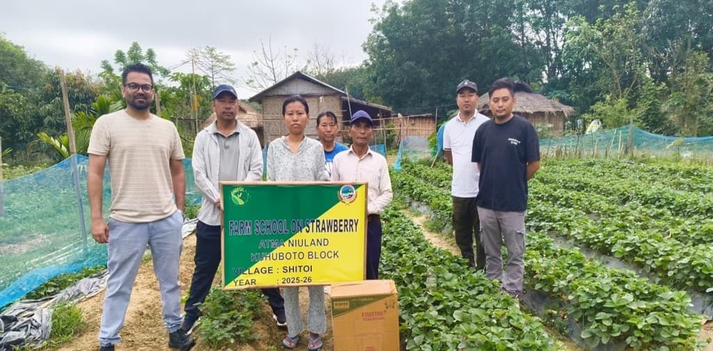 ATMA inaugurates Strawberry Farm School in Kuhuboto block