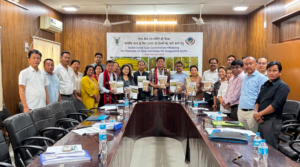 ICAR Nagaland releases 7 short-duration rice varieties