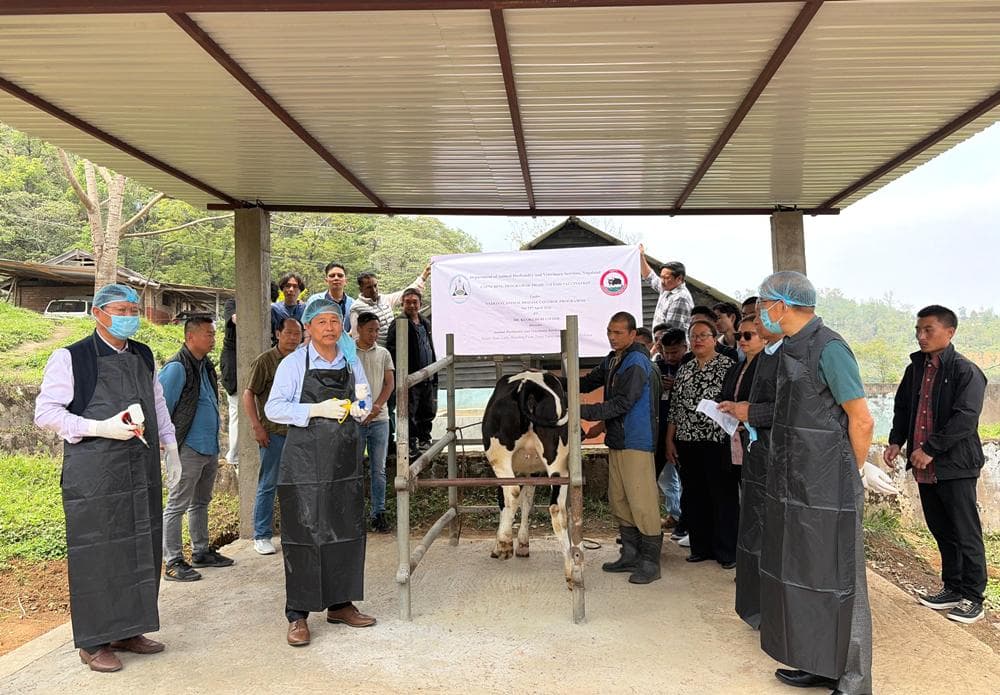 NADCP-FMD Round VII vaccination drive launched in Nagaland