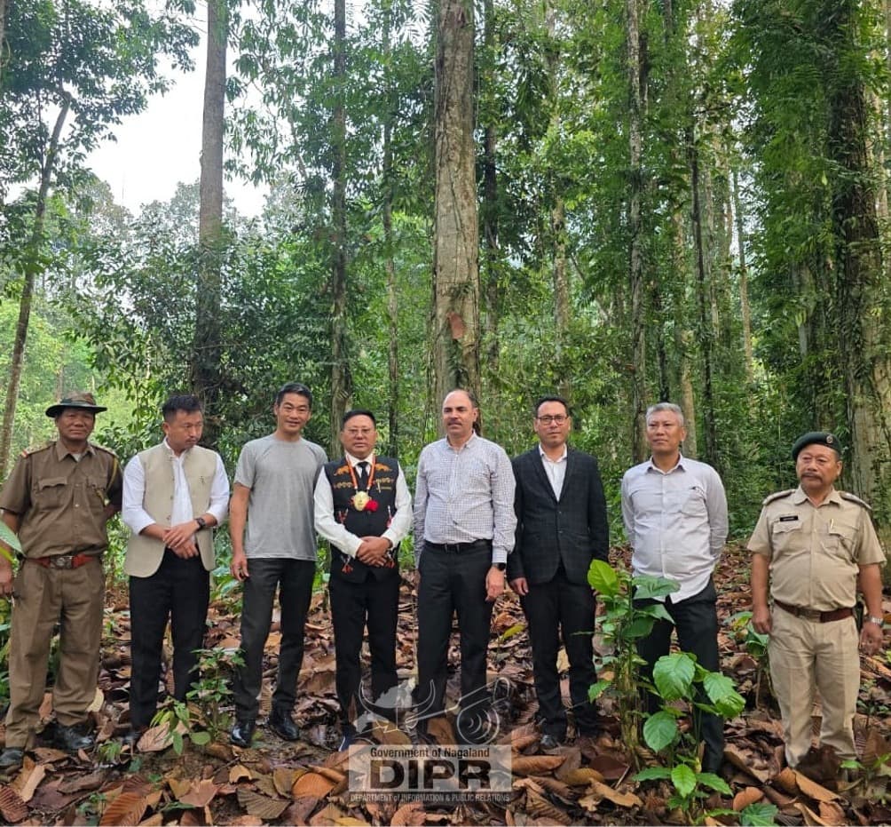 Nagaland moves to reclaim lost Lokhipahar Forest land