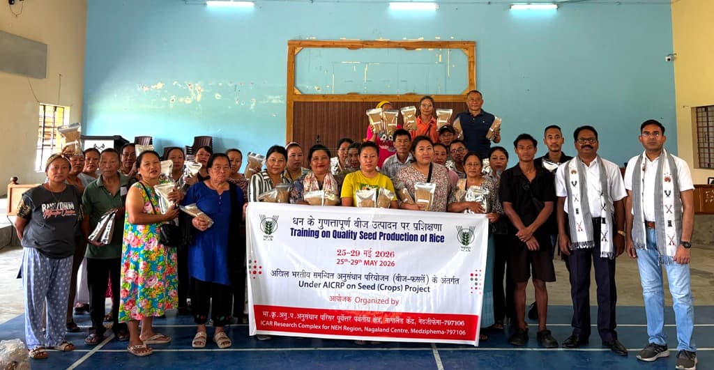 ICAR trains farmers on quality rice seed production