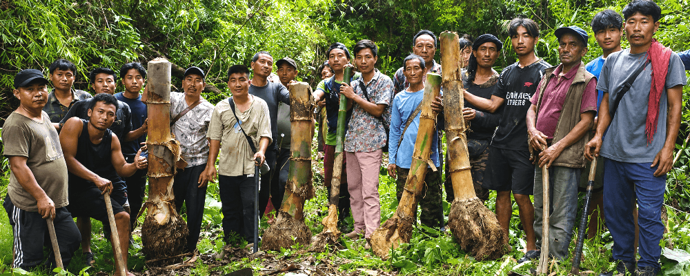 Phokhungri Area Public Organisation holds bamboo plantation drive