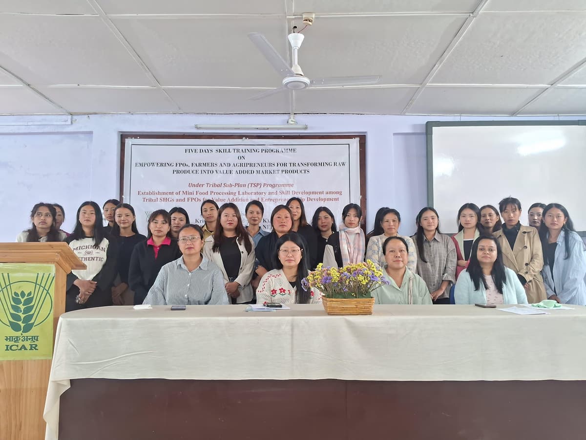 Skill training on food processing boosts entrepreneurship in Wokha
