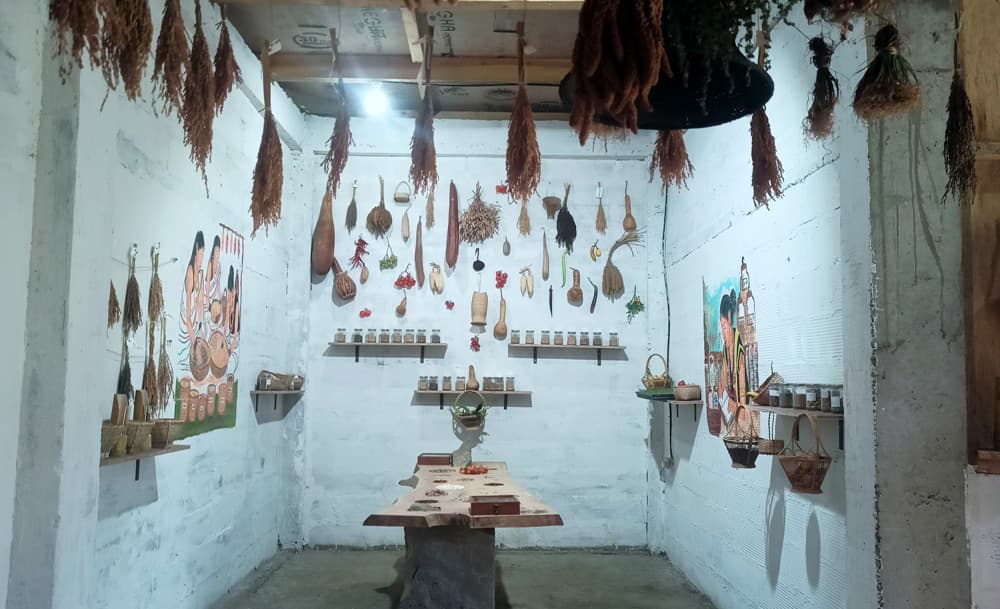 Seed bank, community learning centre launched in Khonoma Village
