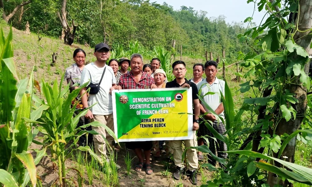 ATMA Peren conducts agricultural training, demonstrations for farmers