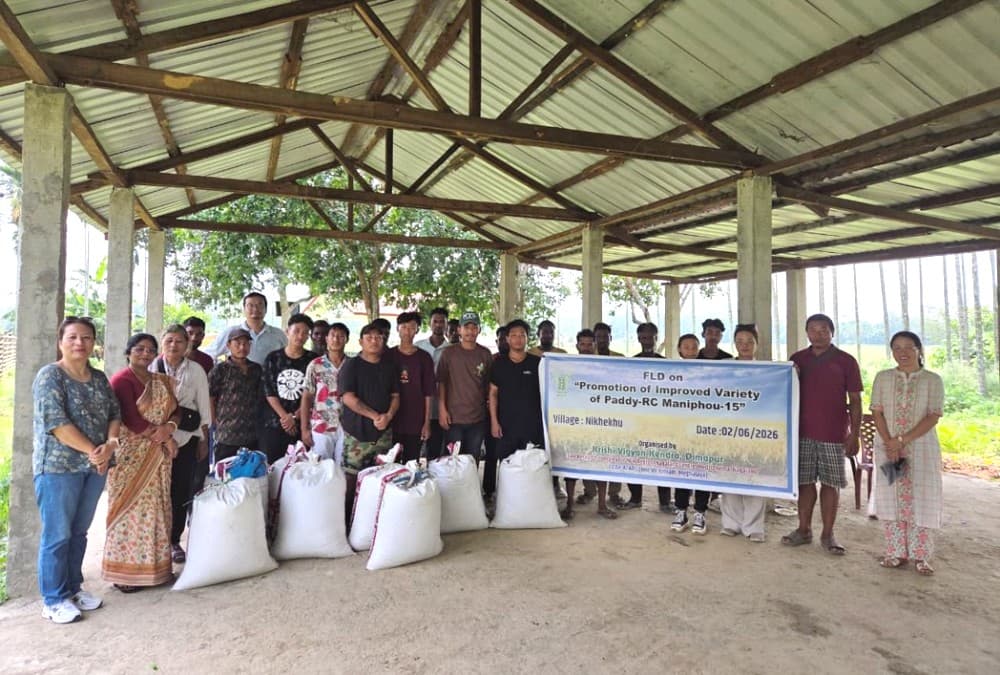 KVK Dimapur conducts demonstration on paddy variety RC Maniphou-15