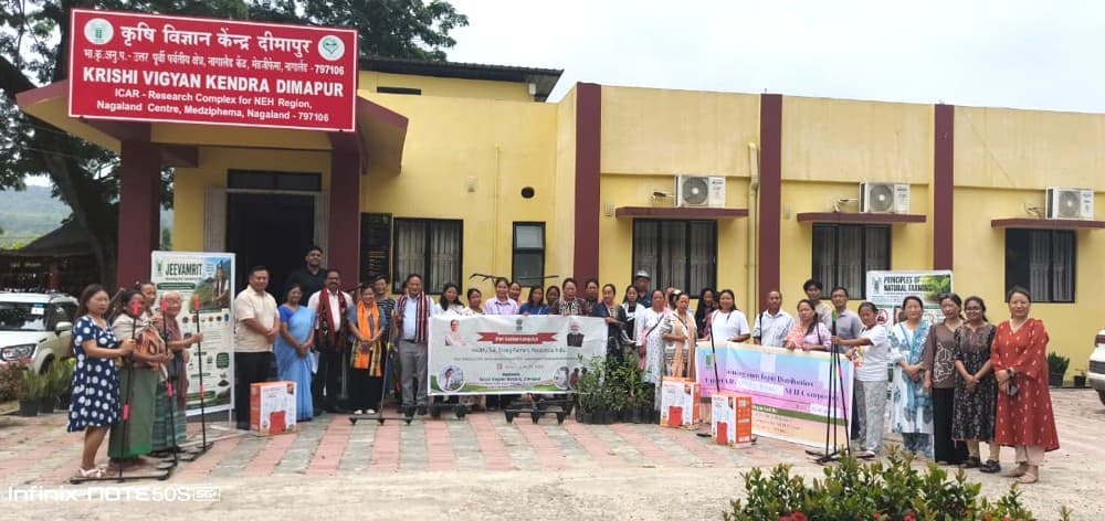Organisations hold awareness events to mark World Environment Day in Dimapur