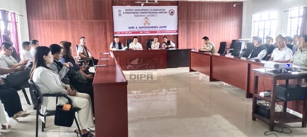 Tseminyu DISHA, DPDB review development activities