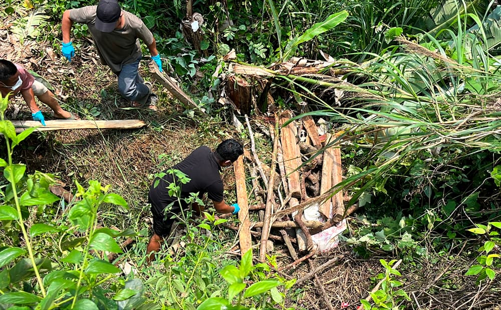 Wokha Town Council condemns dumping of dead pigs amid African Swine Fever concerns