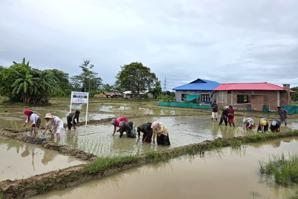 ICAR-KVK Dimapur conducts natural farming demonstration in Khriezephe