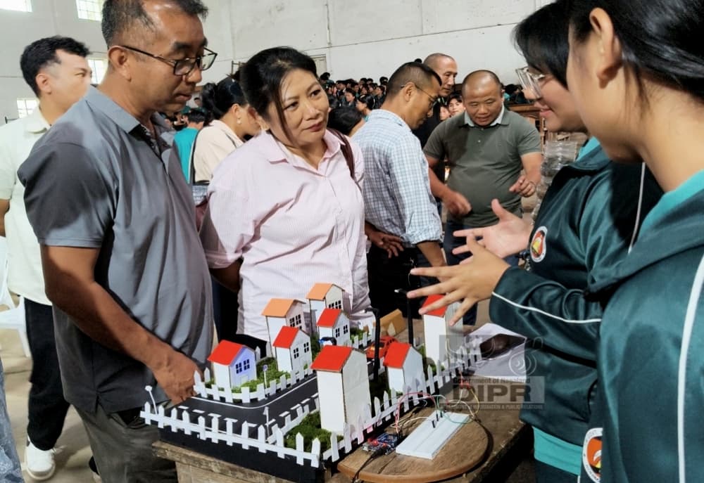 Nagaland marks World Youth Skills Day with focus on skilling, innovation